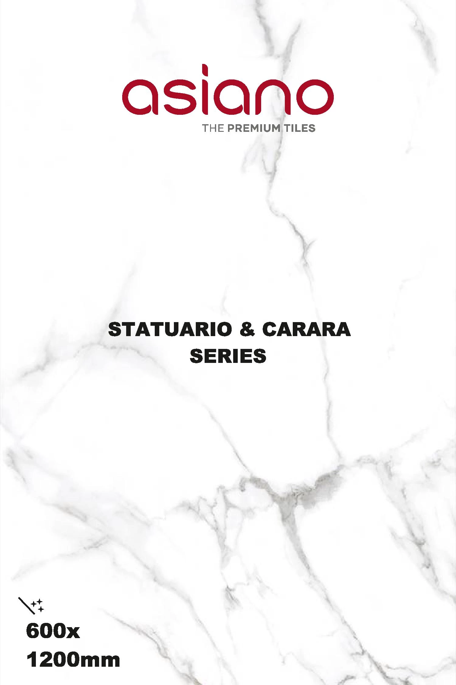 SATVARIO 600X1200MM - ASIANO