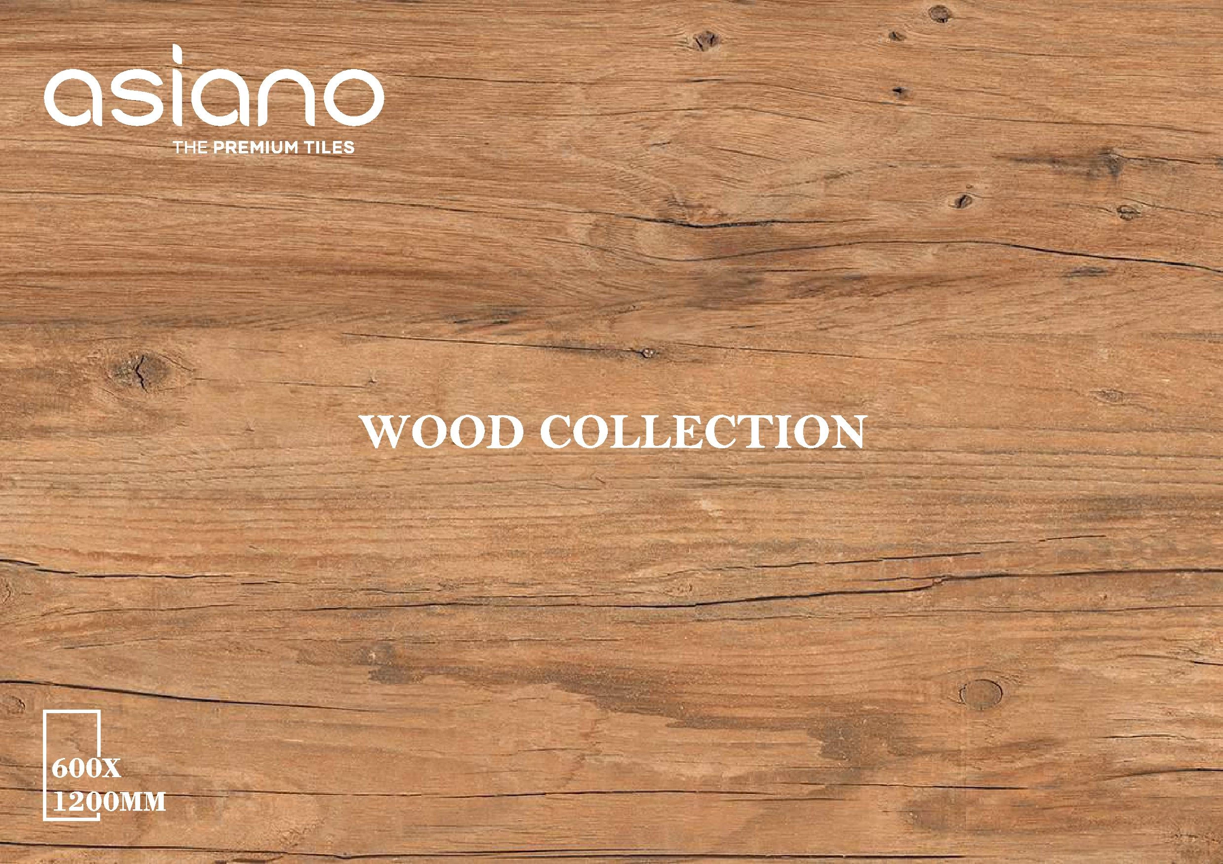 WOOD SERIES 60X120CM ASIANO