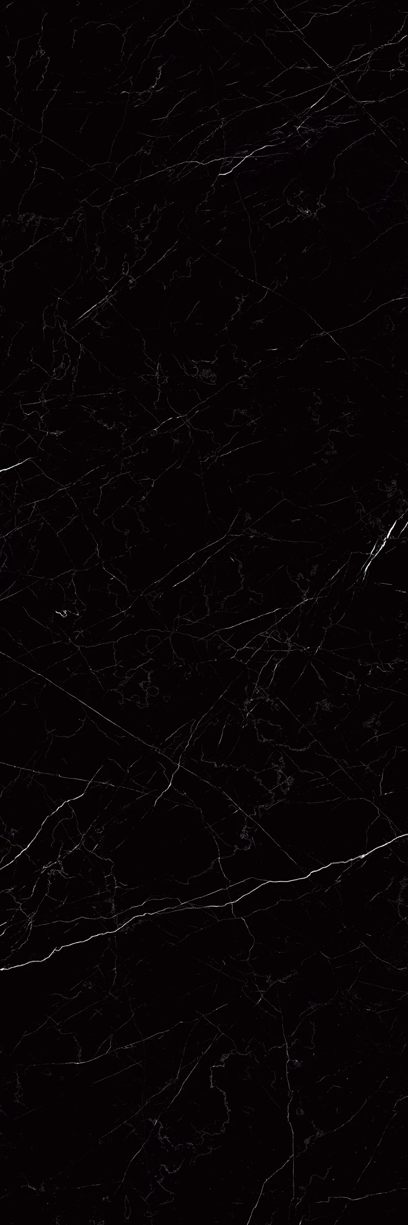 Belgiun Black F1