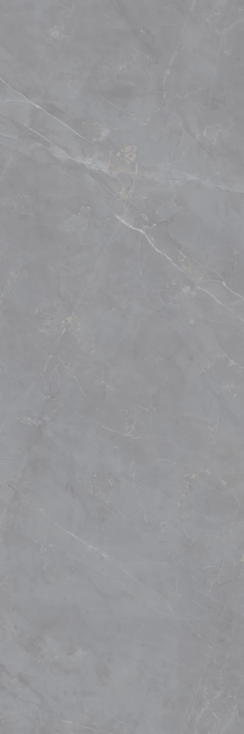 Armani Grey F1