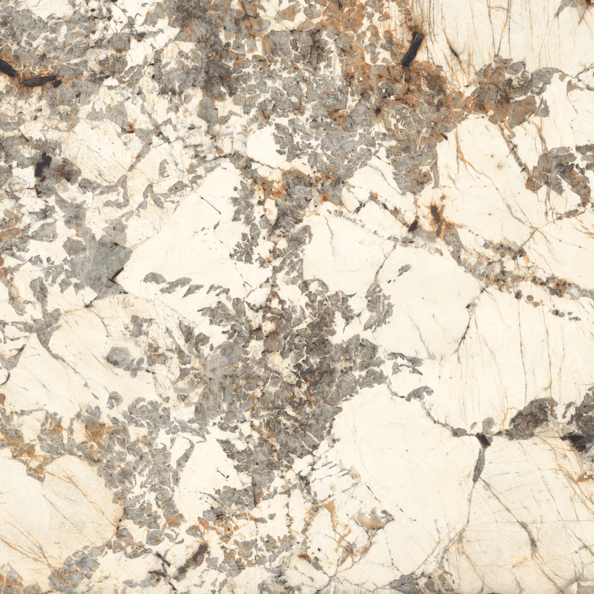 ARISTONE CEROBE 01