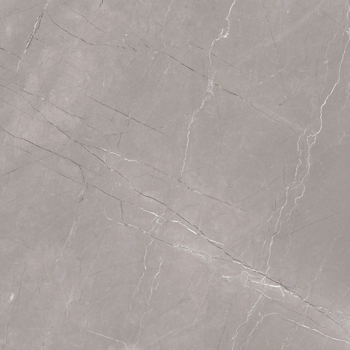 ASHPAR GREY_01