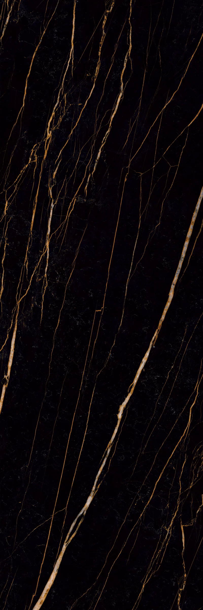 Black Gold F1
