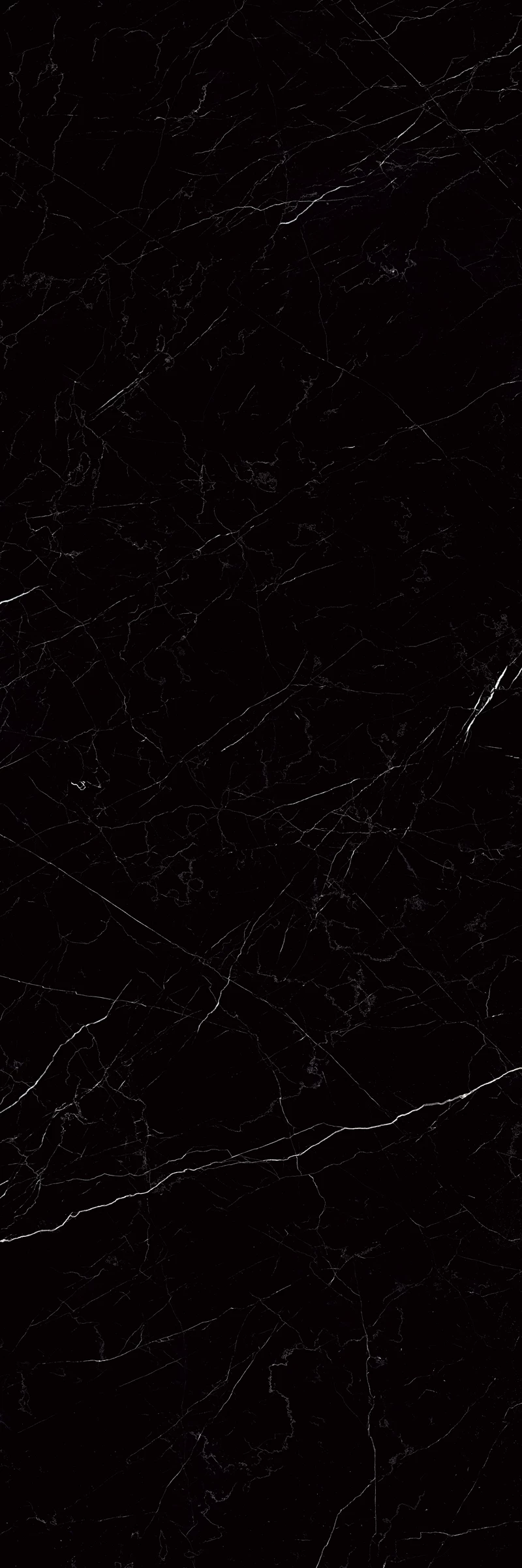 Belgiun Black F1