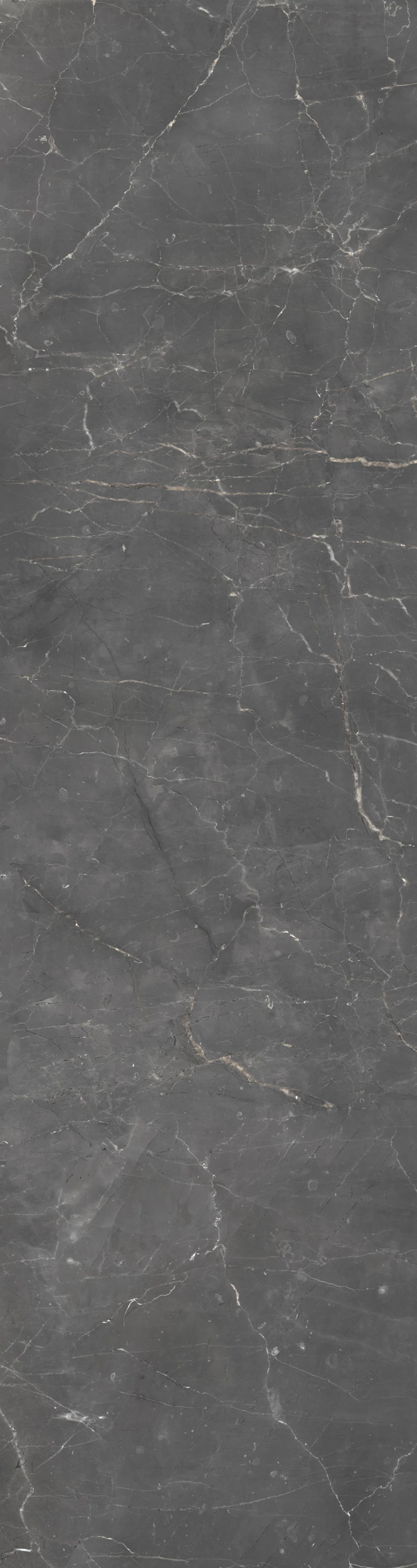 PULPIS GREY-1