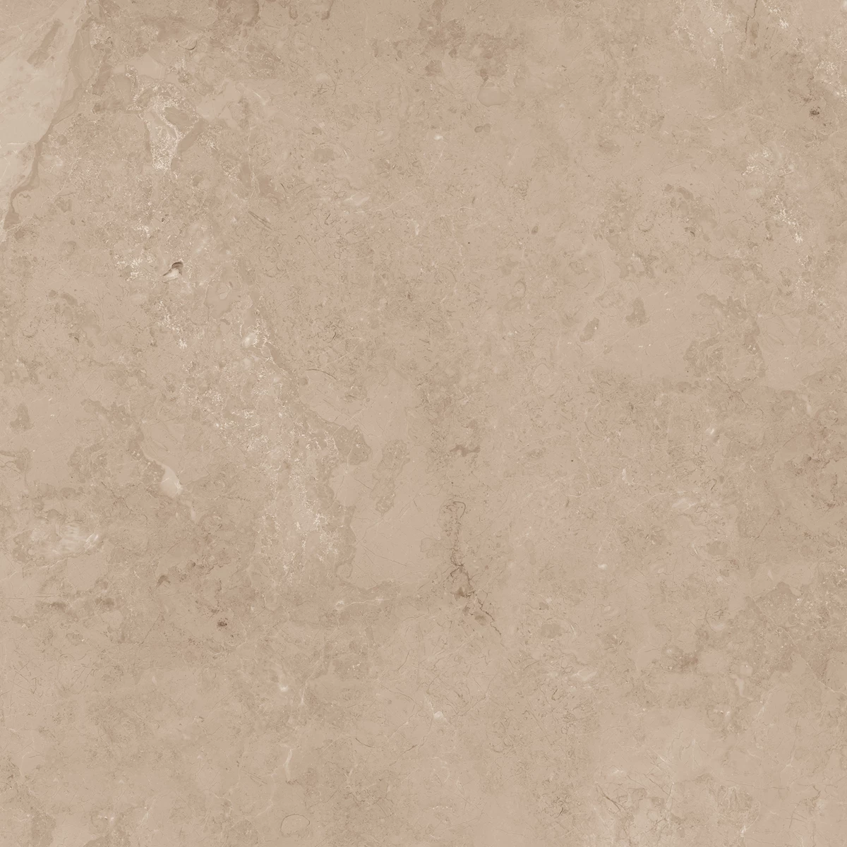 BOTTICINO ROYALE_01 