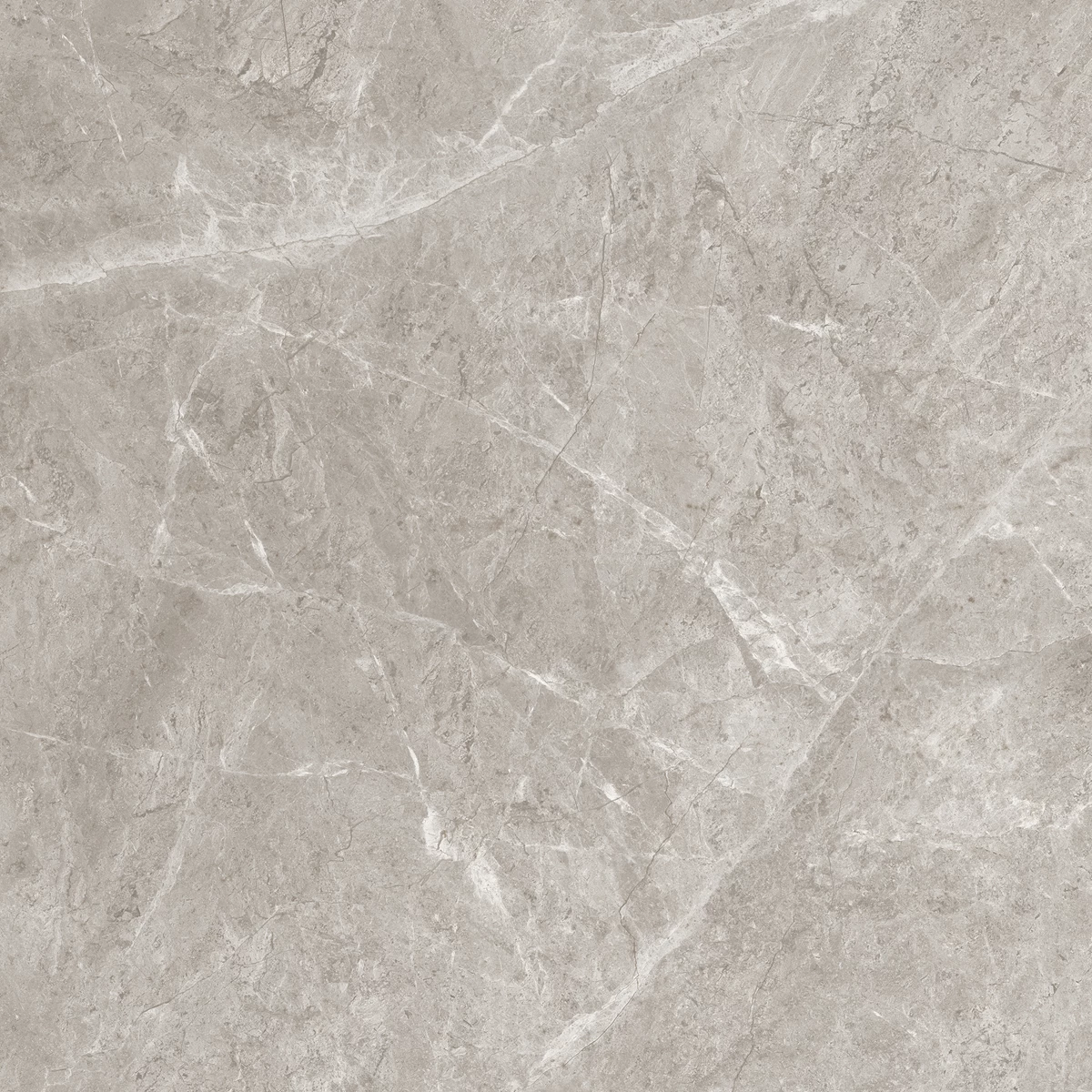BEETEL GREY_01