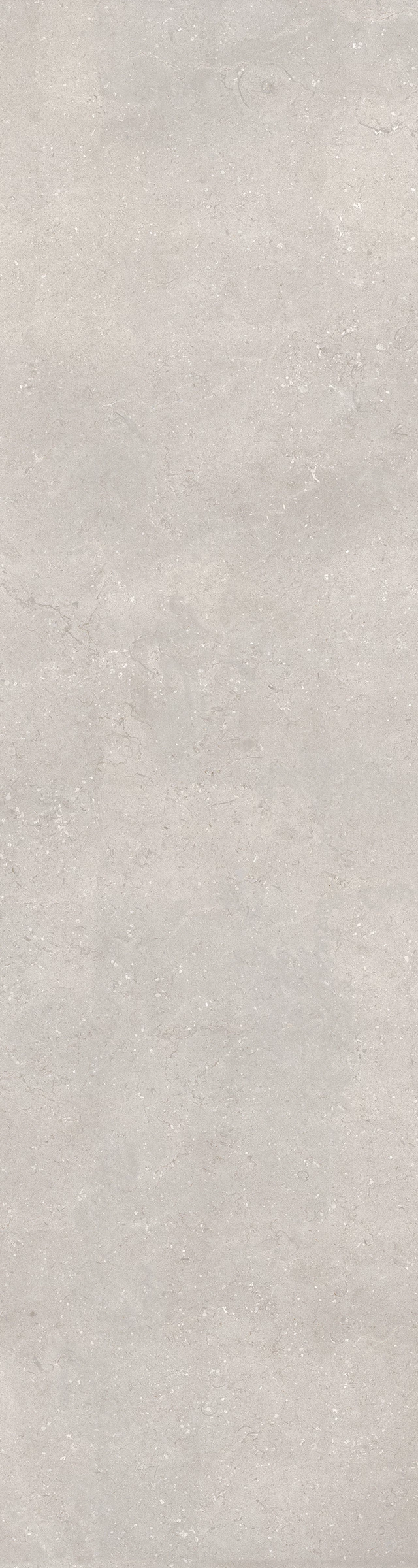 DOVE GREY_1