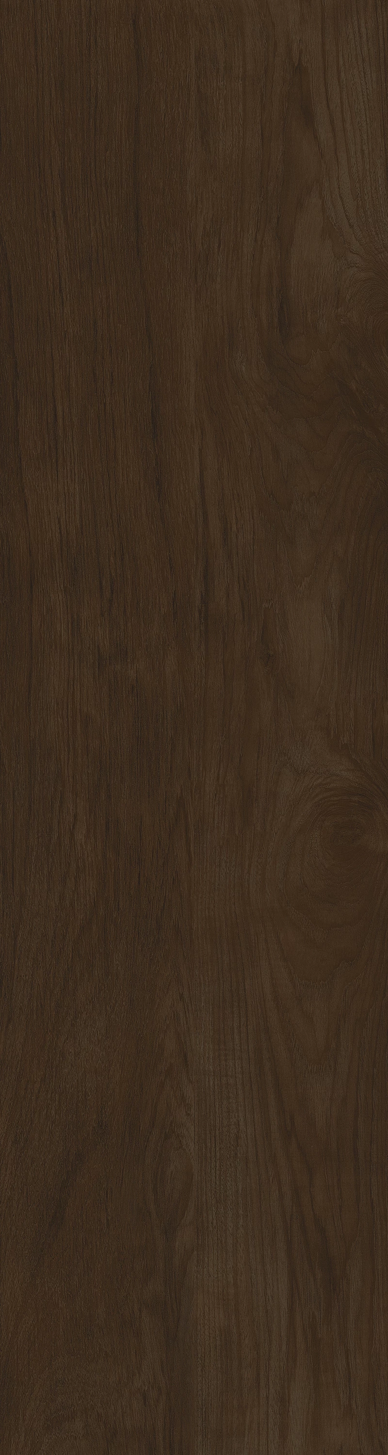 COCOA VENEER