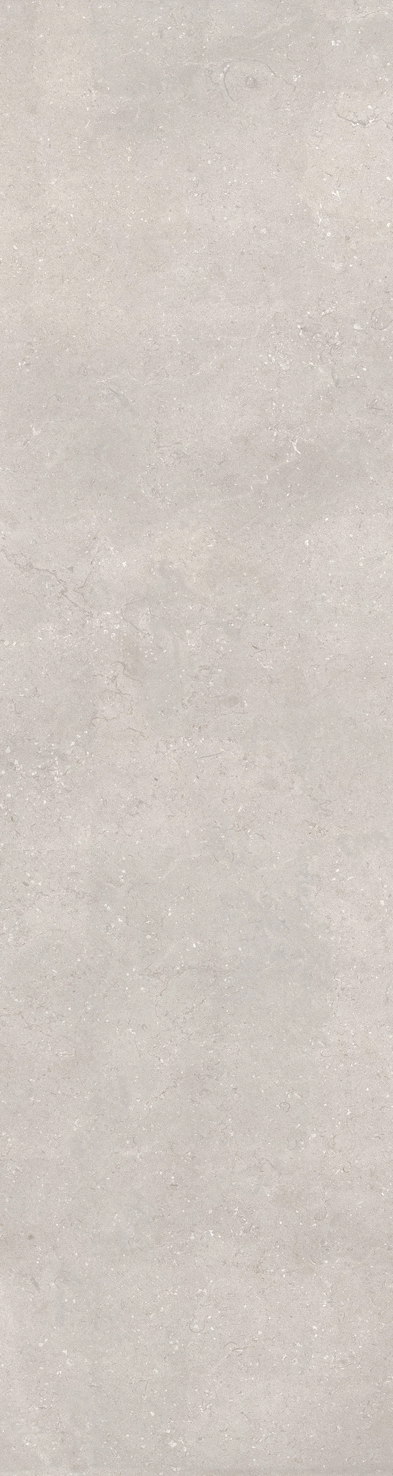 DOVE GREY_1