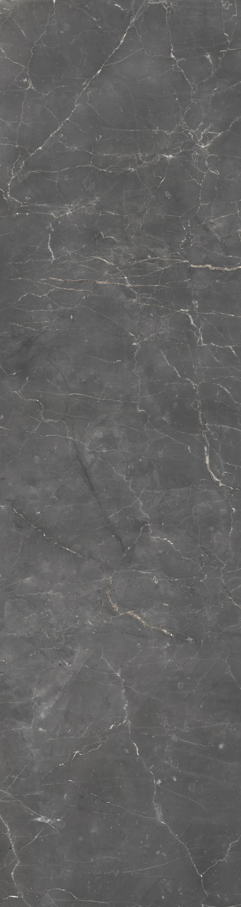 PULPIS GREY-1