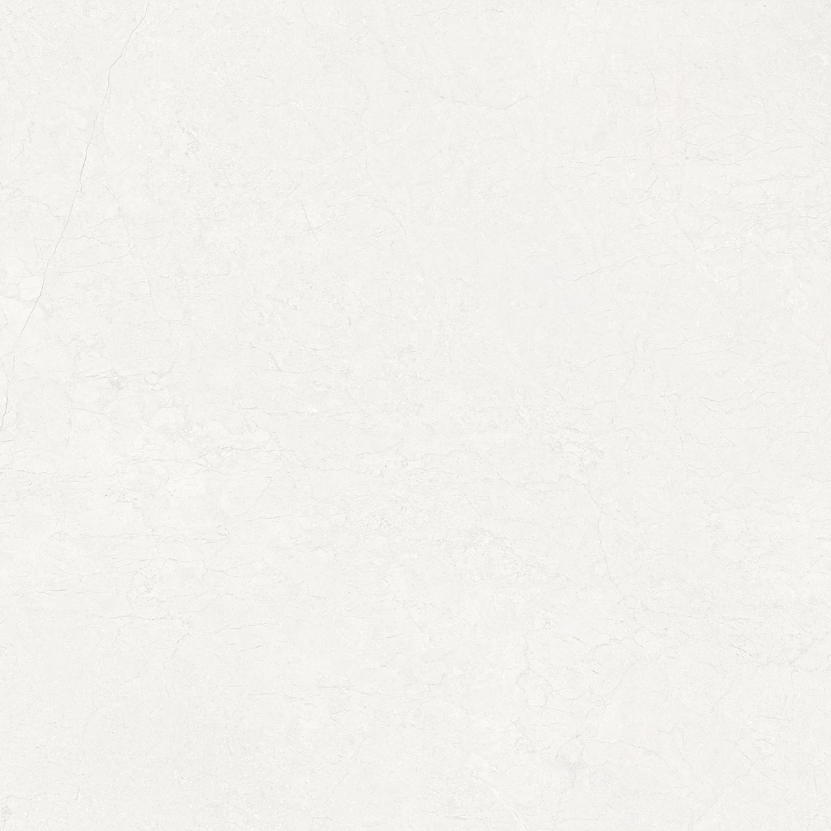 DIVINA WHITE_01