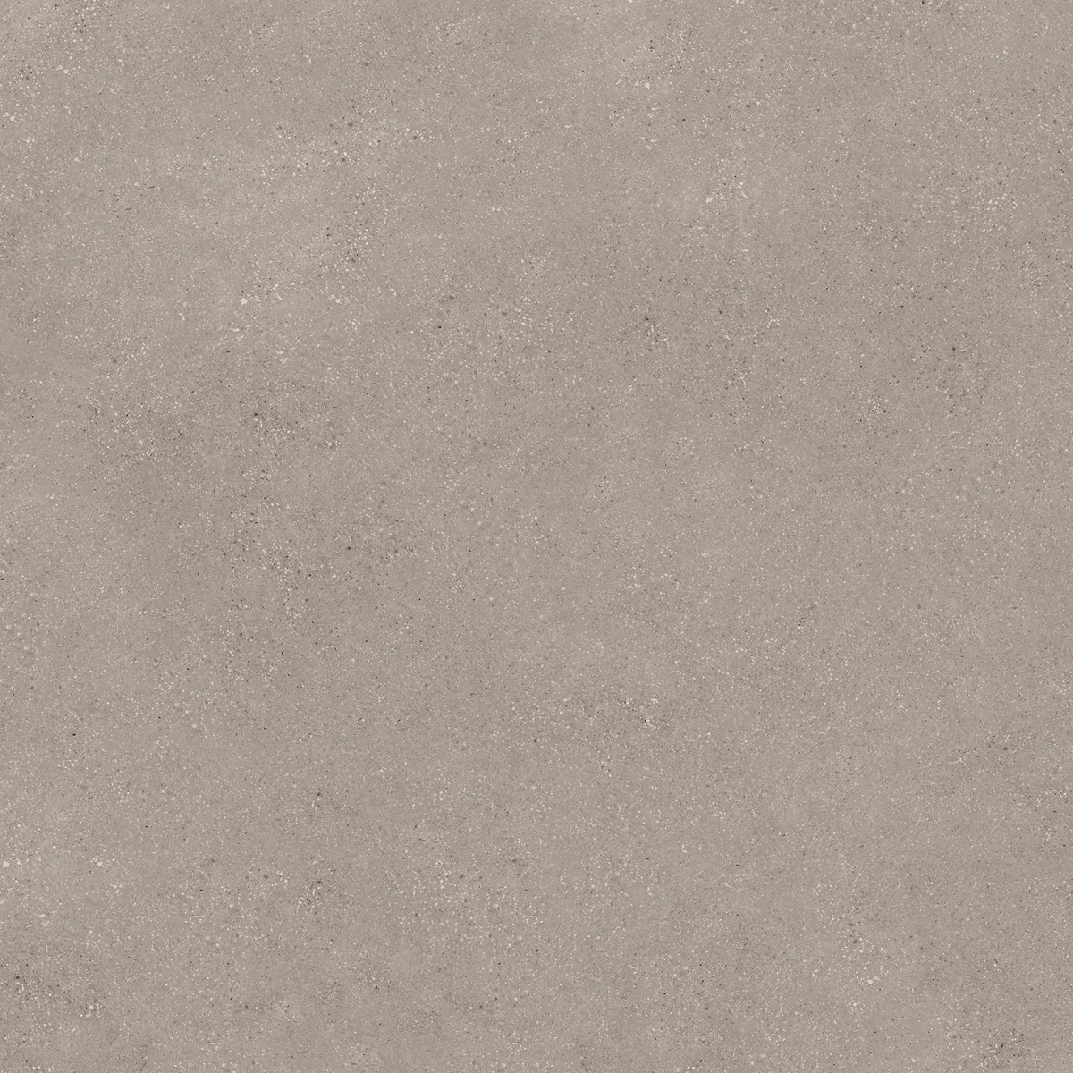 DUST BROWN_01