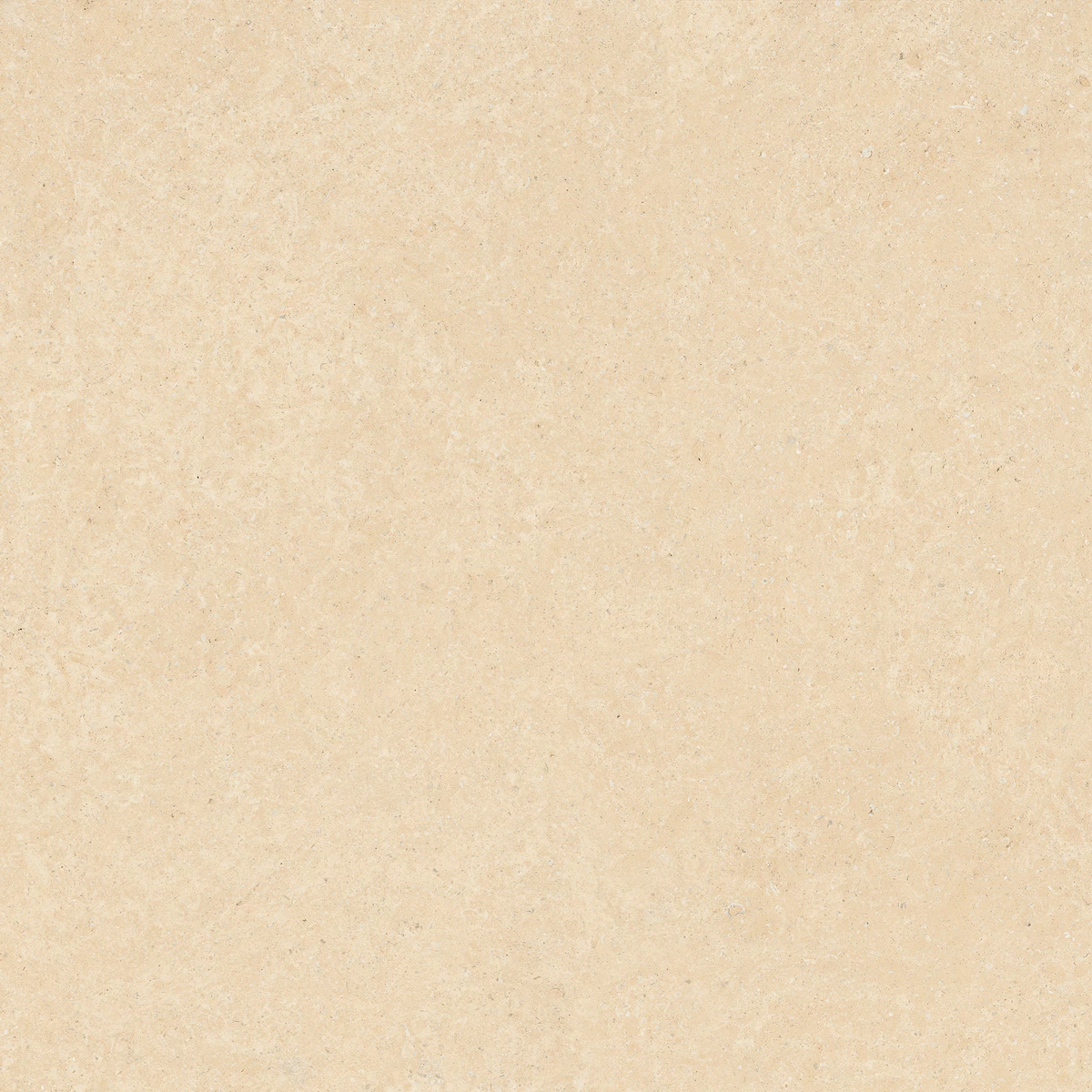 ELISTA BEIGE_01