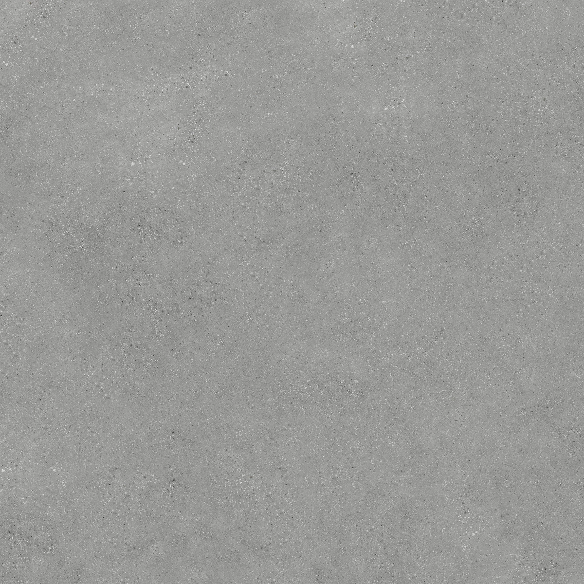 DUST GREY_01