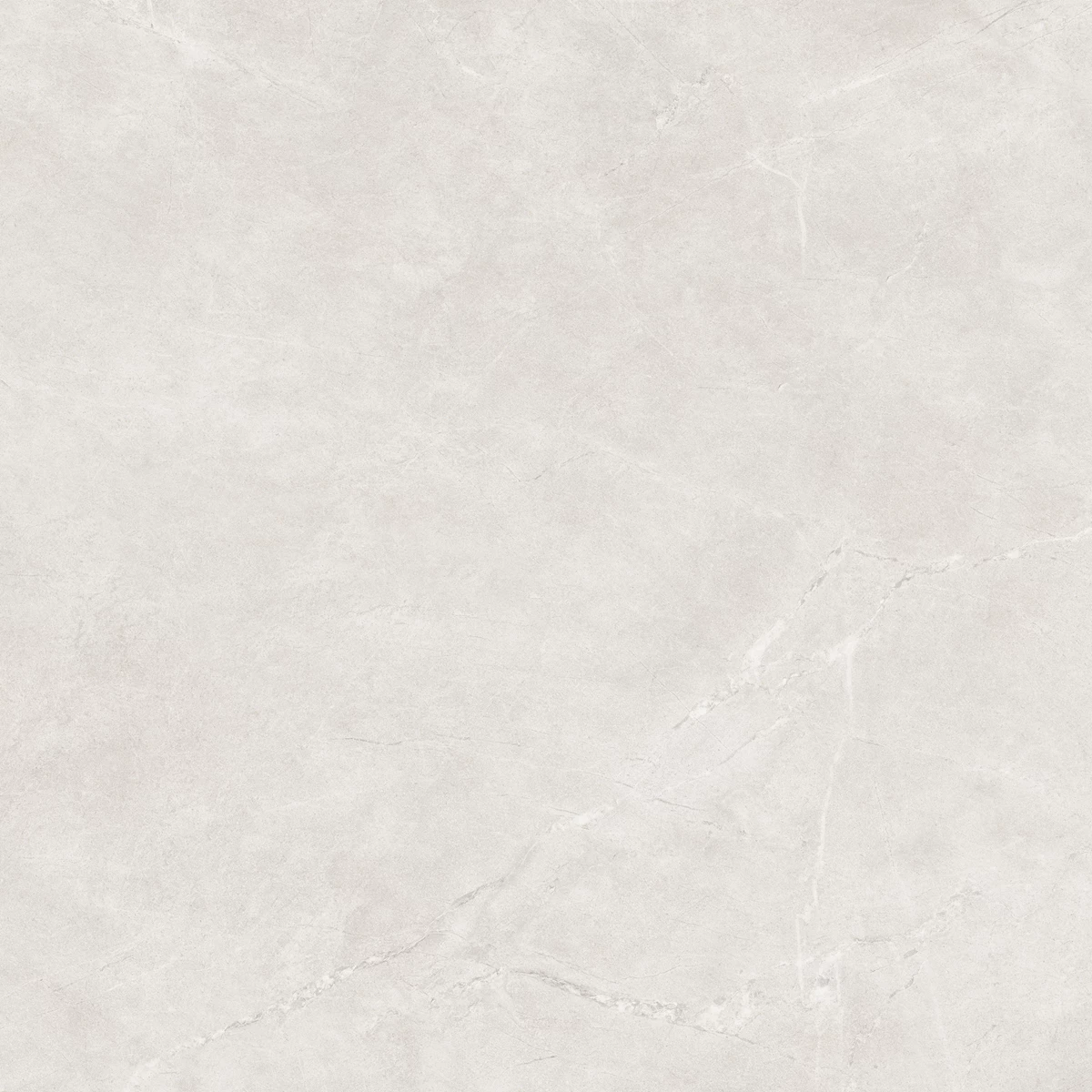ESCARA LACE_01