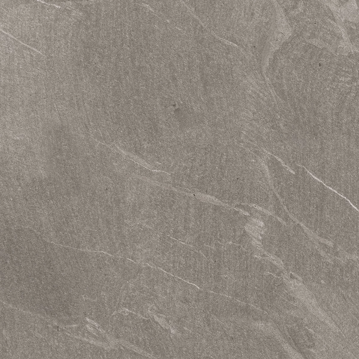 TROYAL GRIS_01