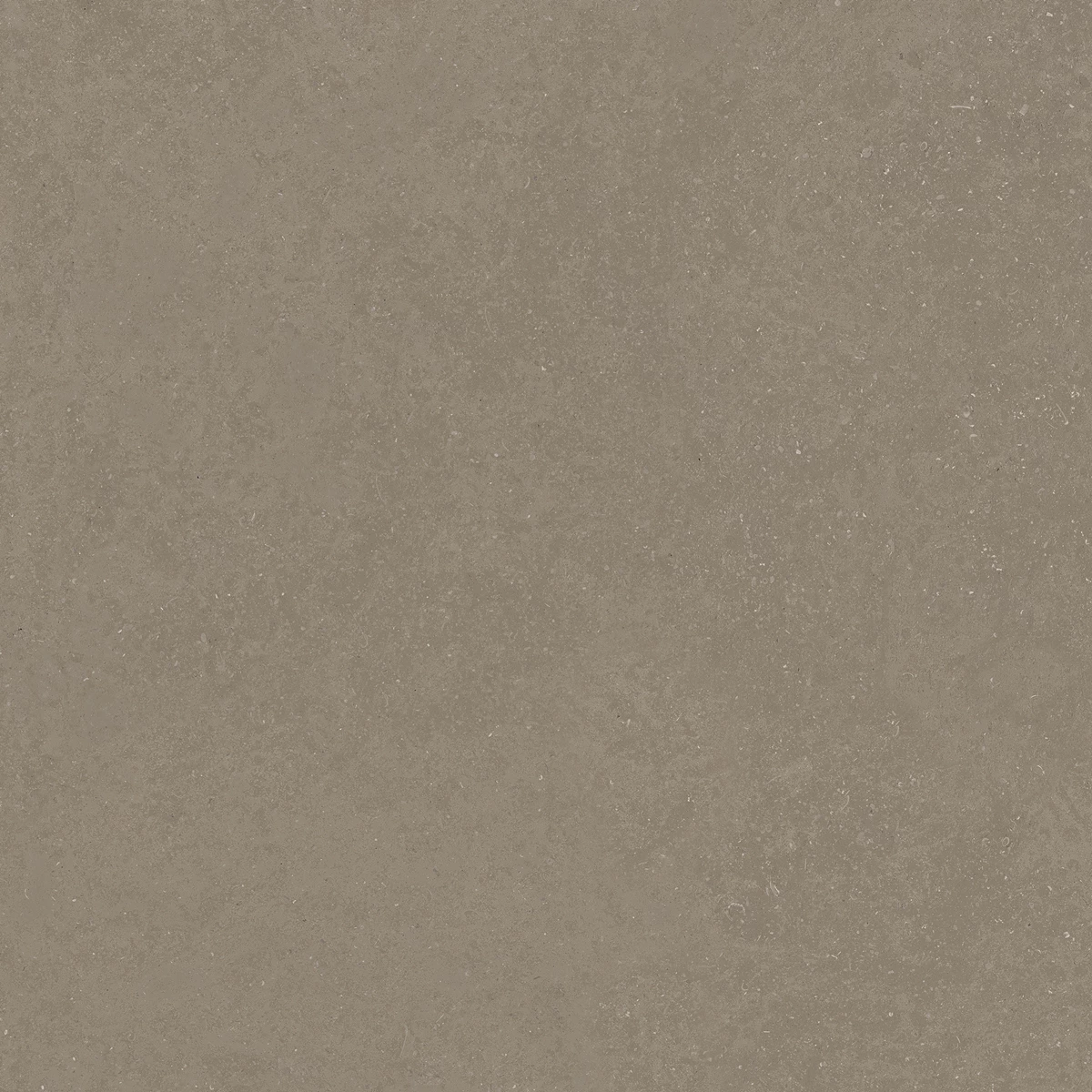 ELISTA VERDE_01