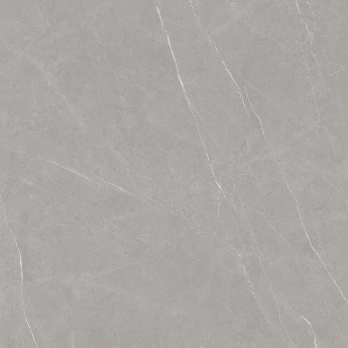 FLOD GREY_01