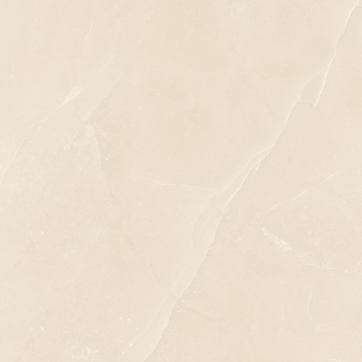 FALCON BEIGE_01