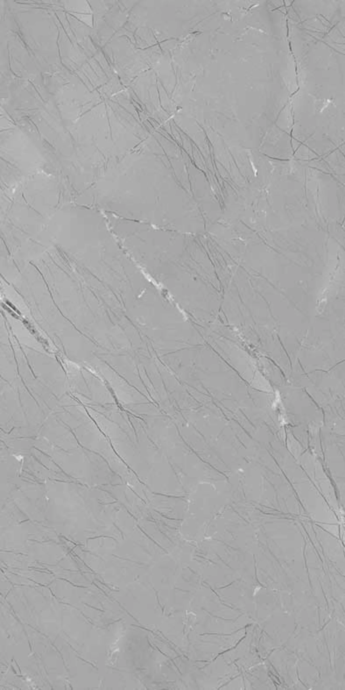 IRIS GREY_F1(ADS 8013)