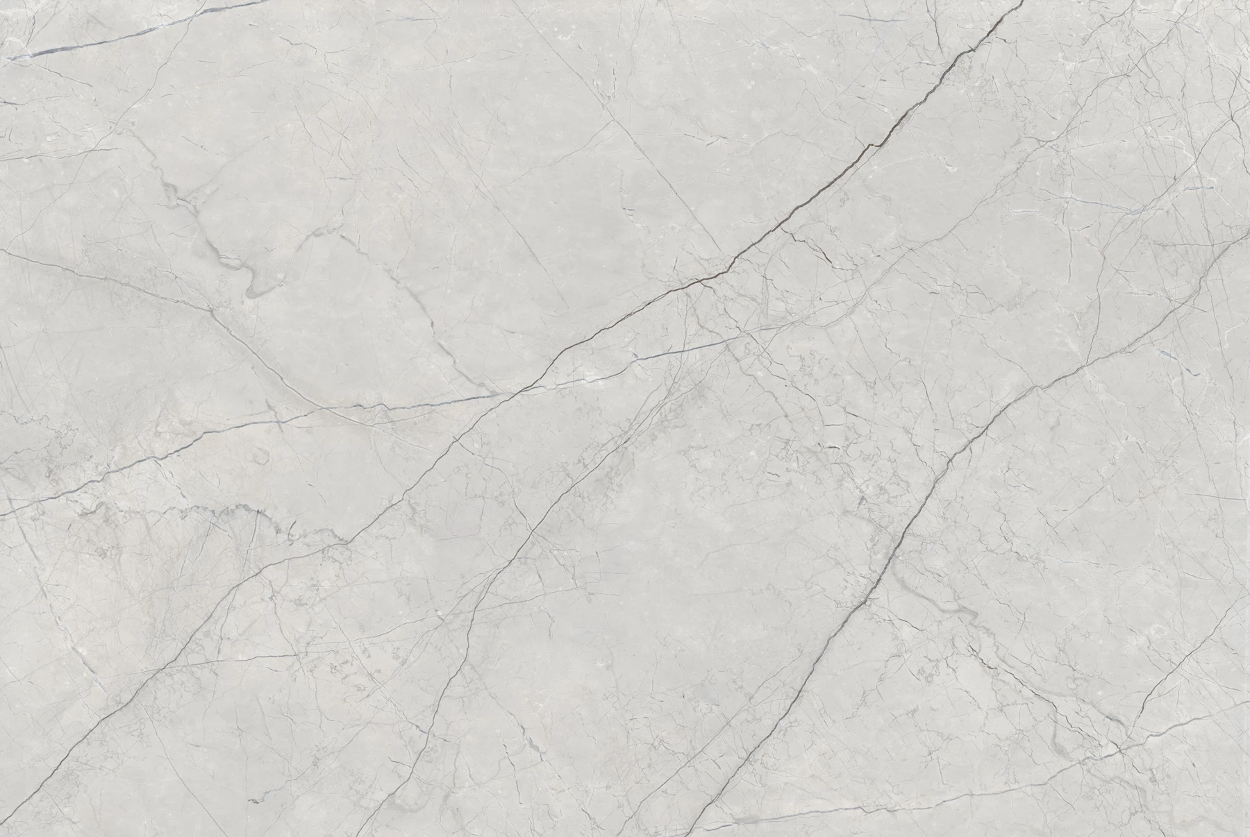 AGUSTINE GREY_01