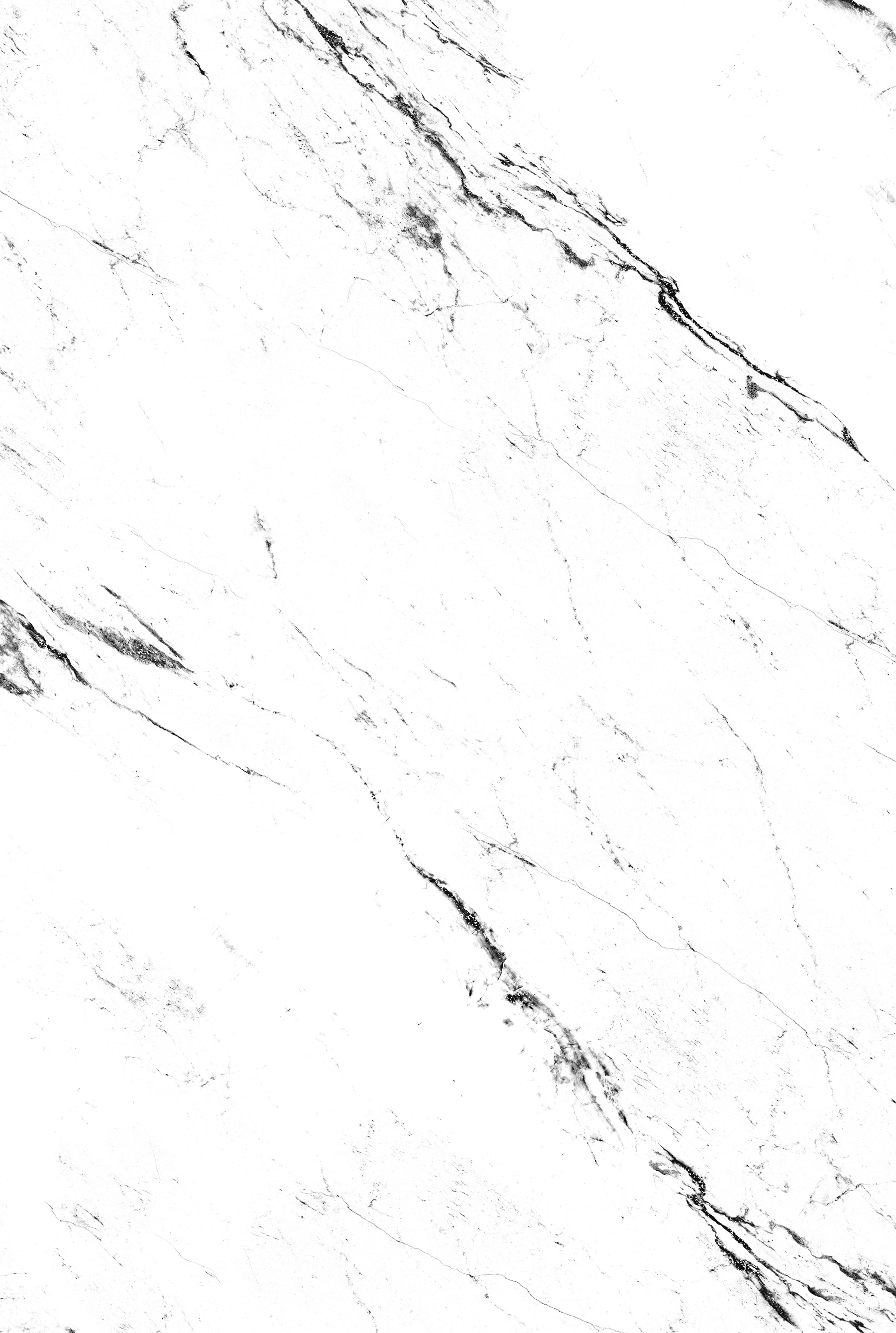 STATUARIO VIZONA_01