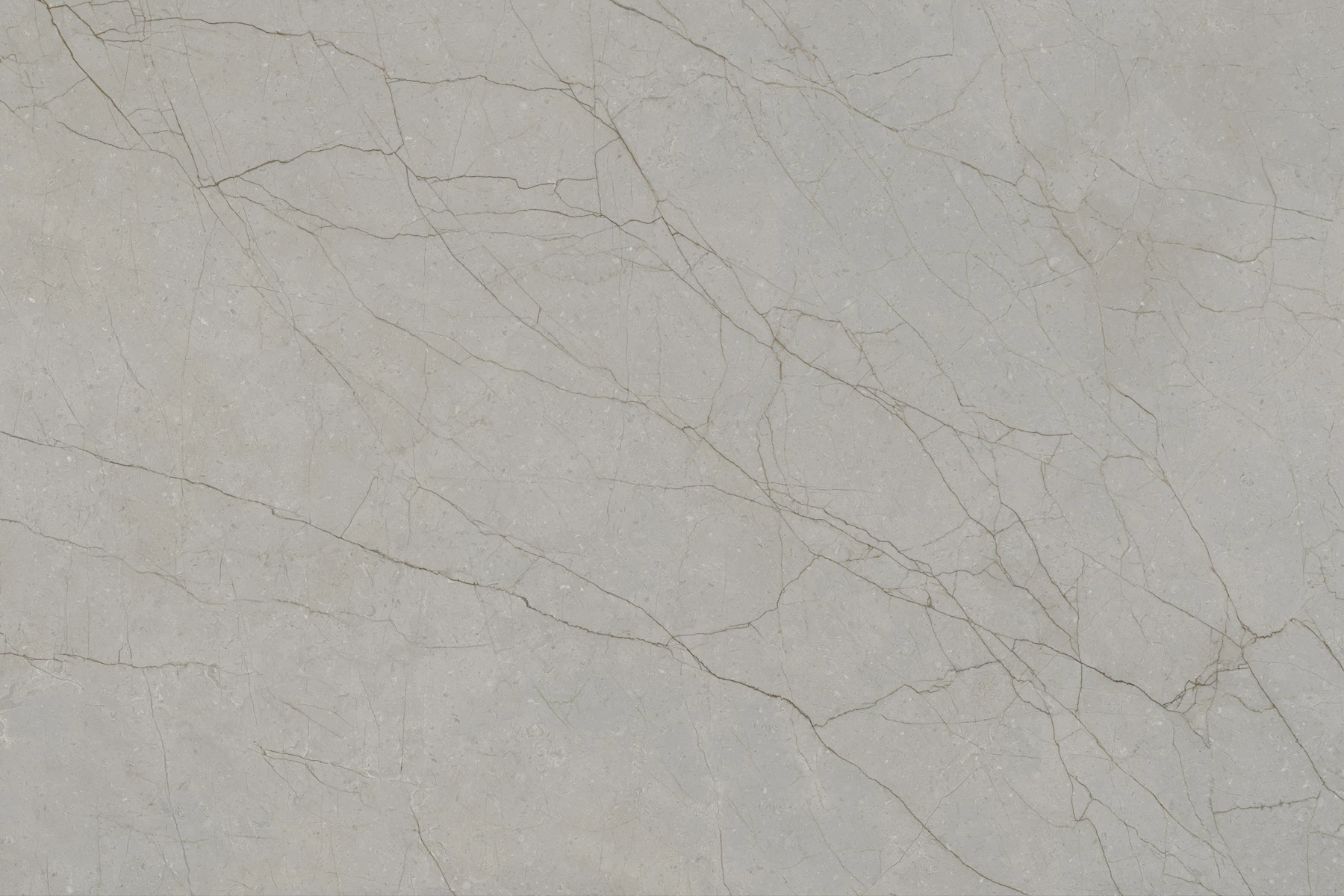 DELICE GREY_01
