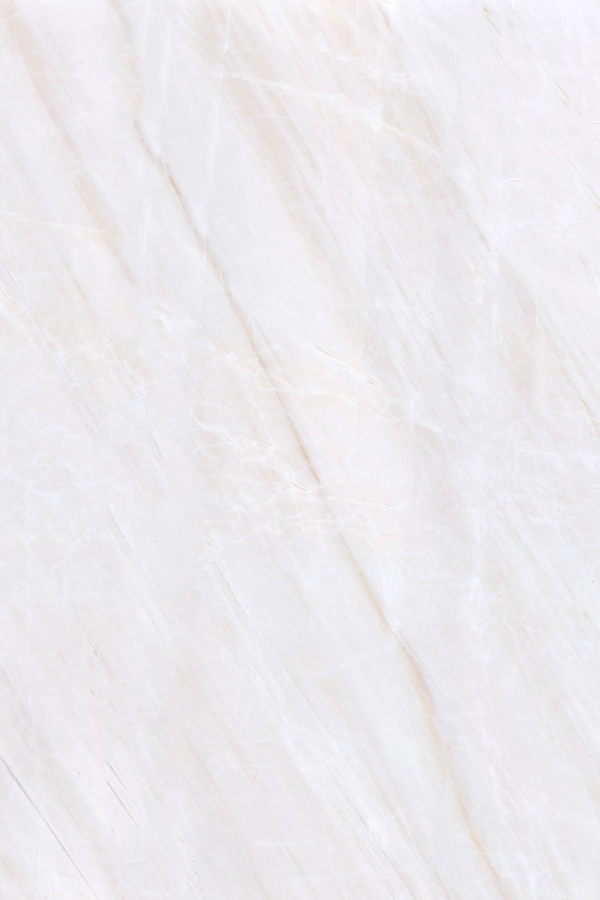 CARNOT CORE_01