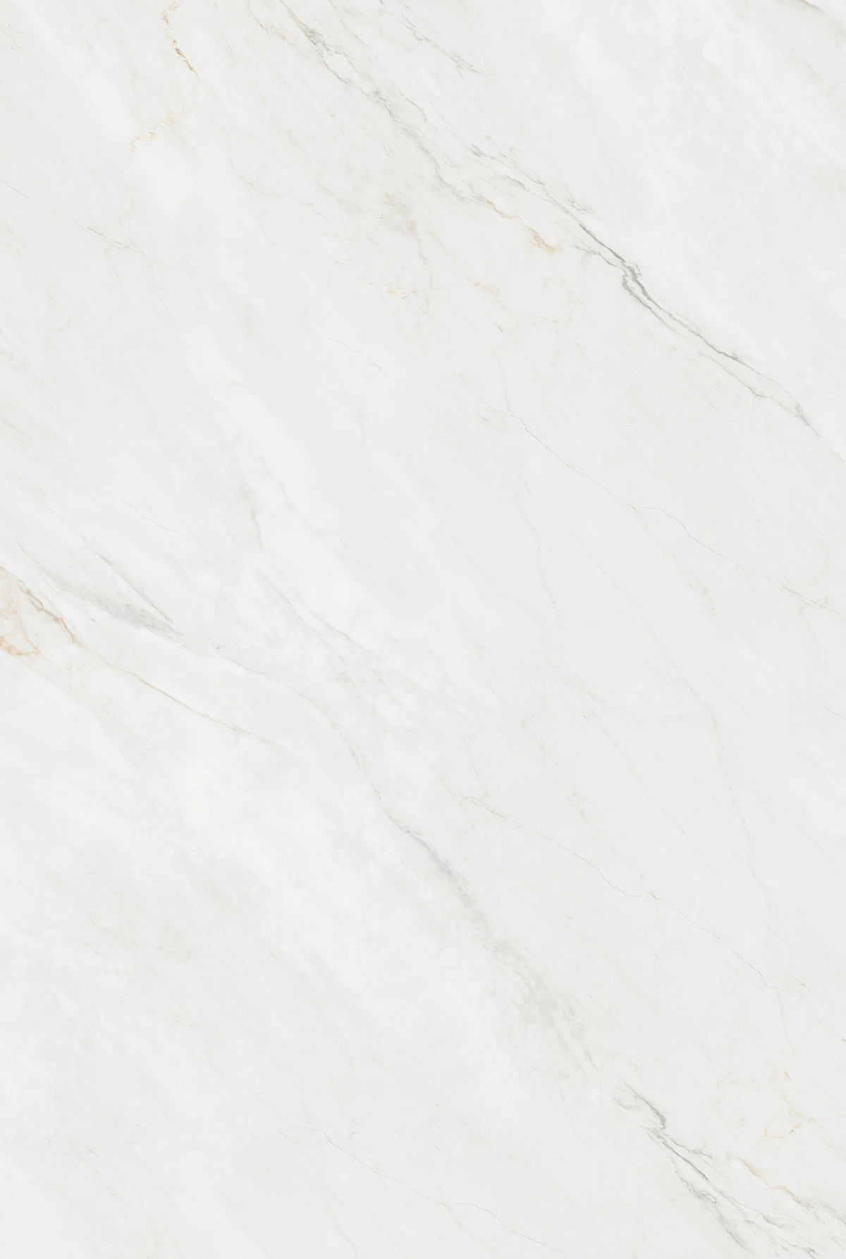 ARLI STATUARIO WHITE_01