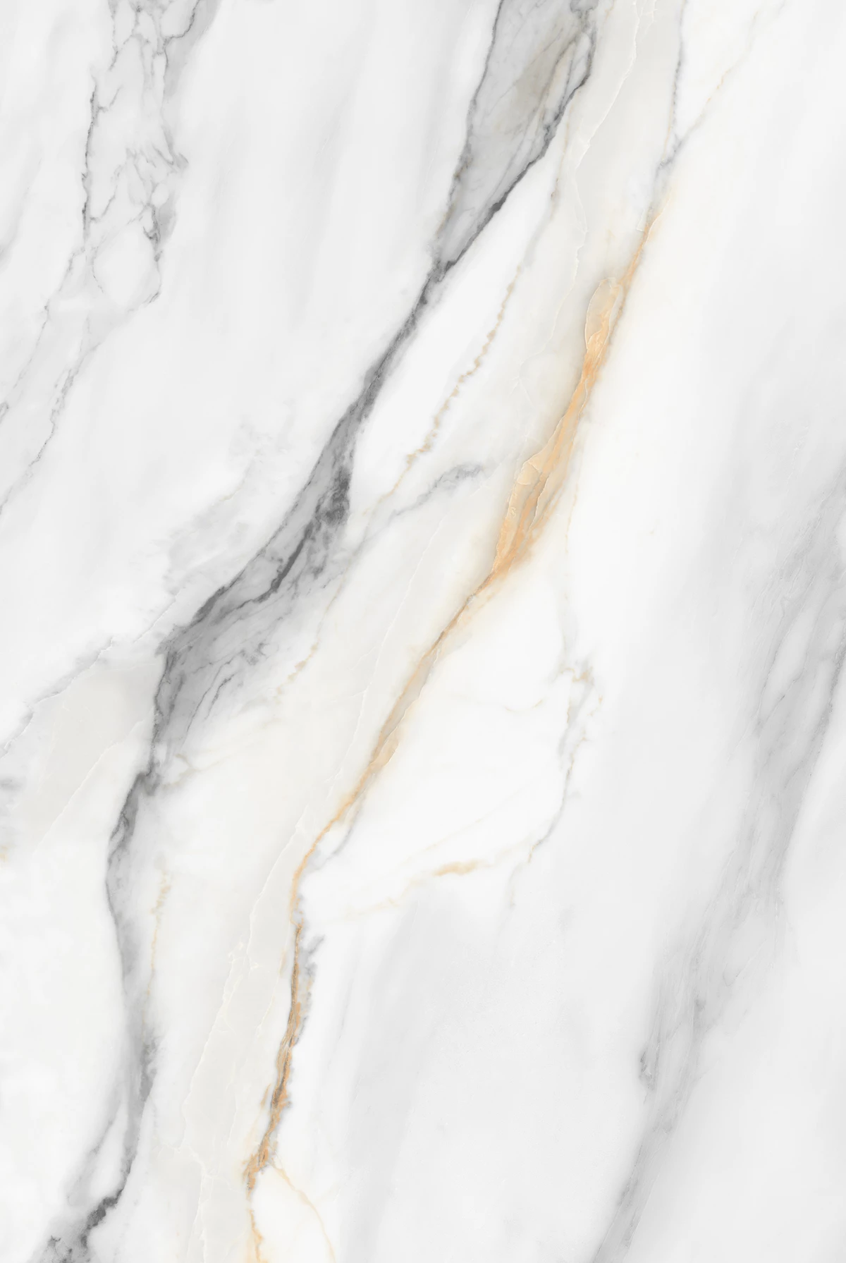 AVIS WHITE_01