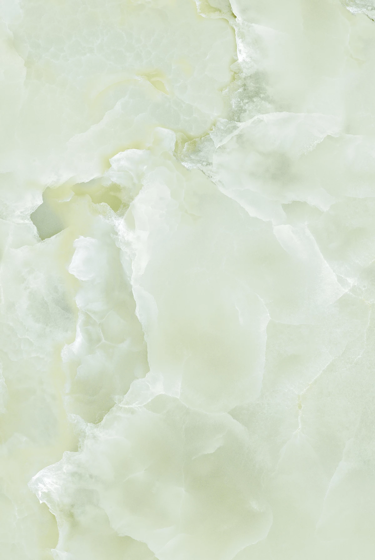 ETOILE GREEN_01