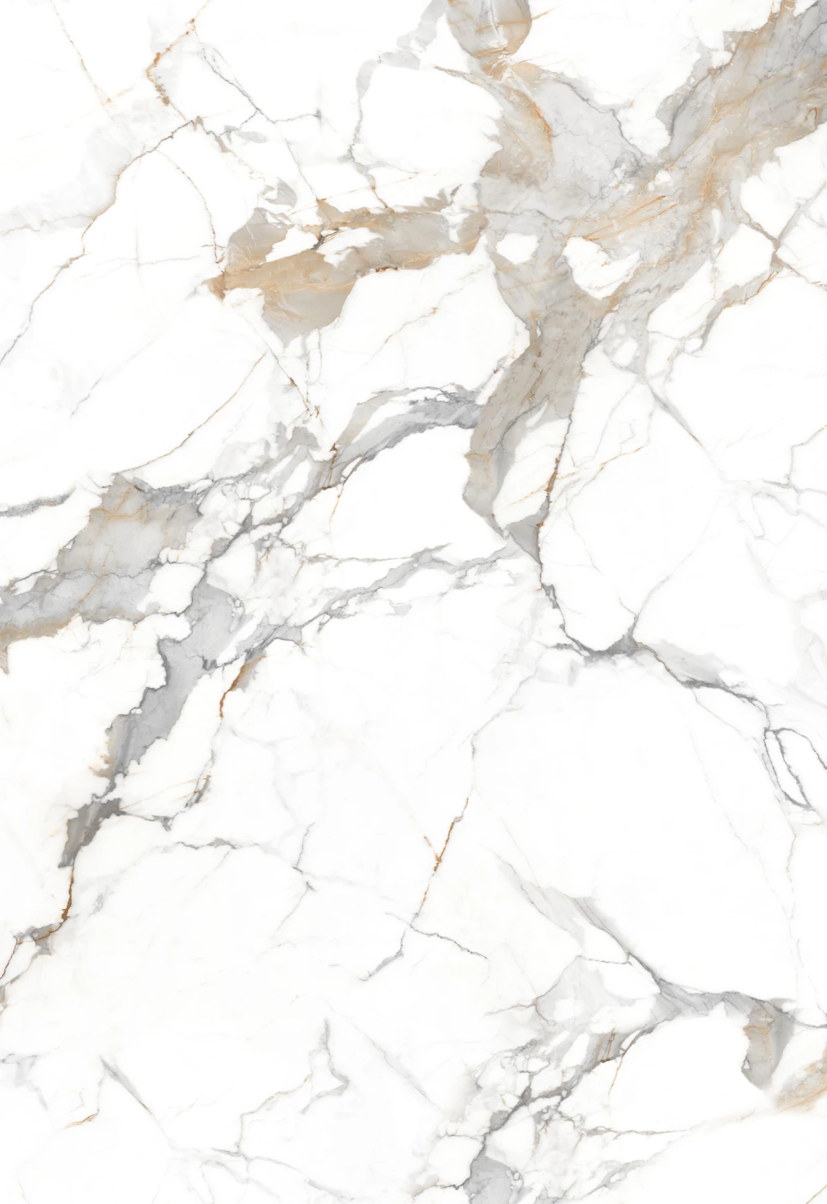FLAIR WHITE_01