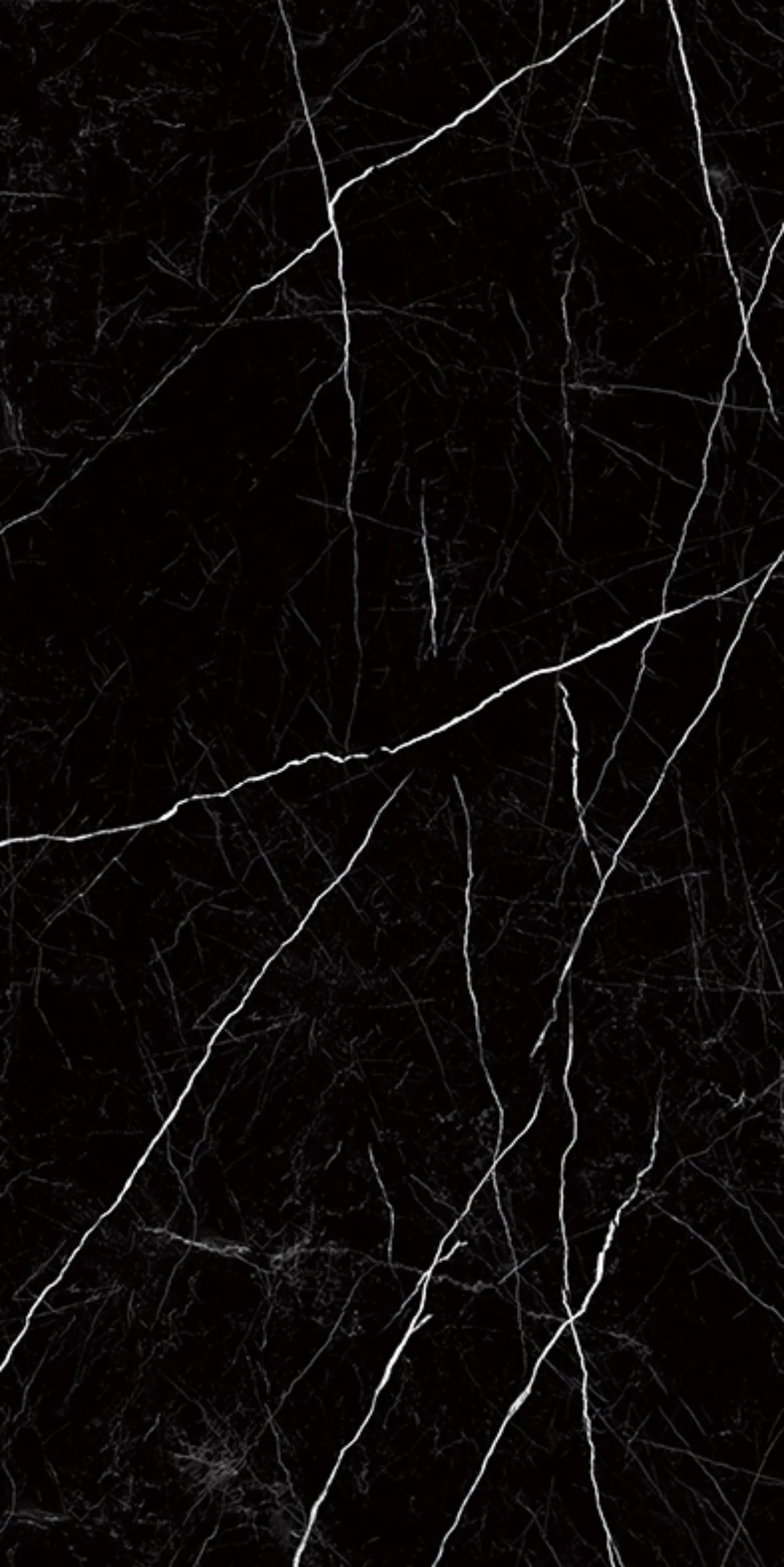 NERO MARQUINA_F1