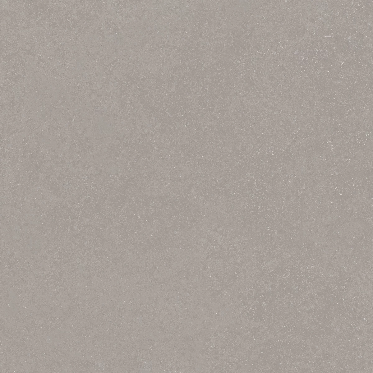 ELISTA GREY_01