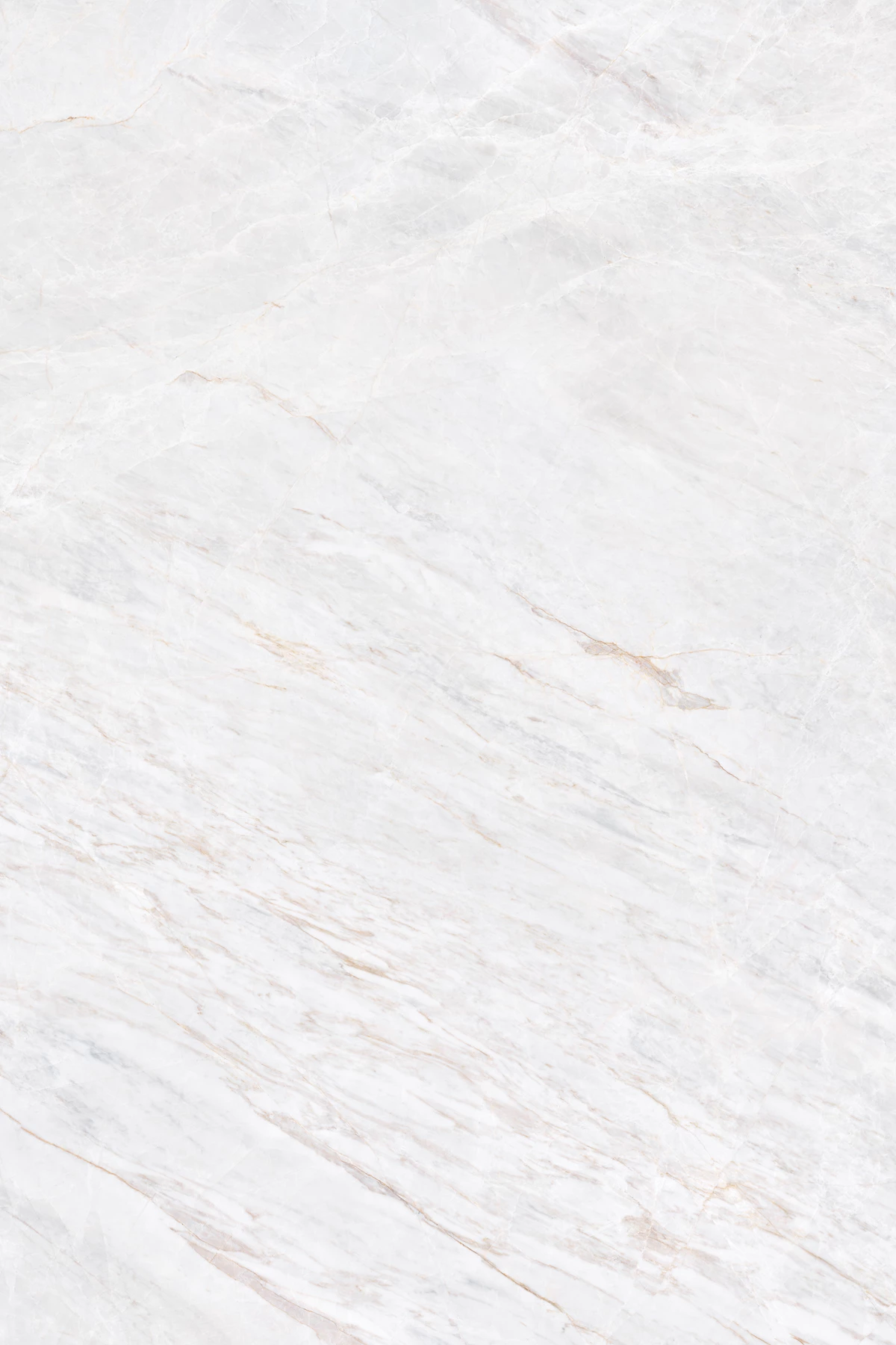CANYON BIANCO_01