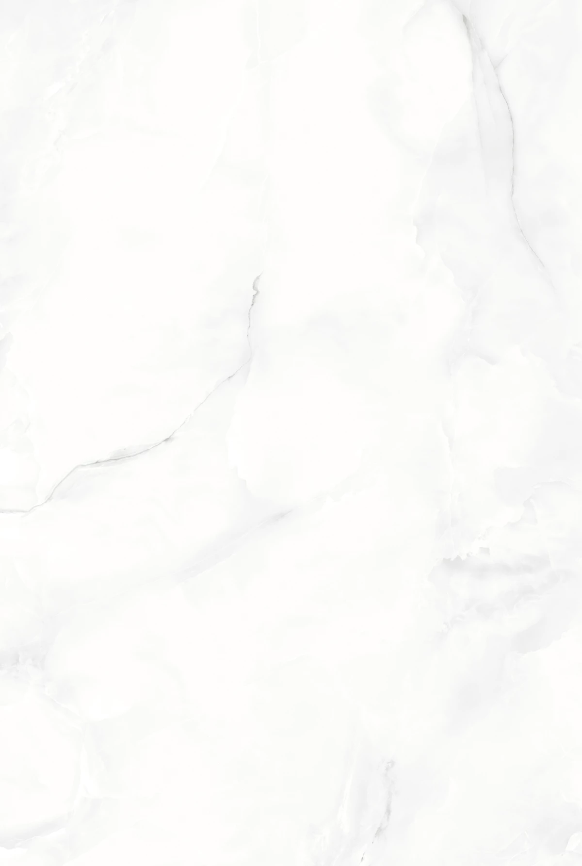 ONYX BIRCH_01
