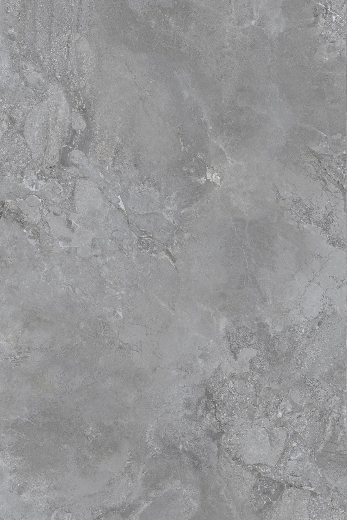 KNOX GRIS_01