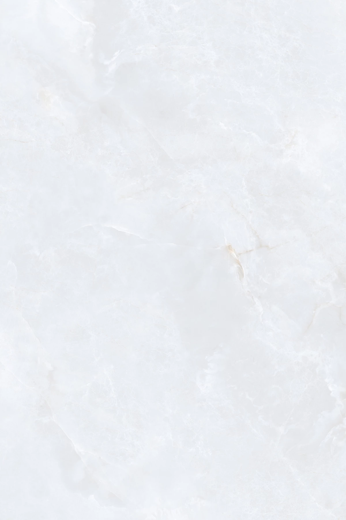 GEISHA BIANCO_01