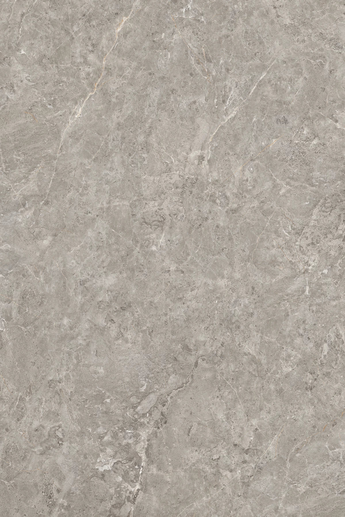 ECATE MAPLE_01