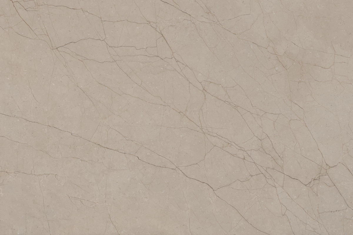 DELICE SEPIA_01