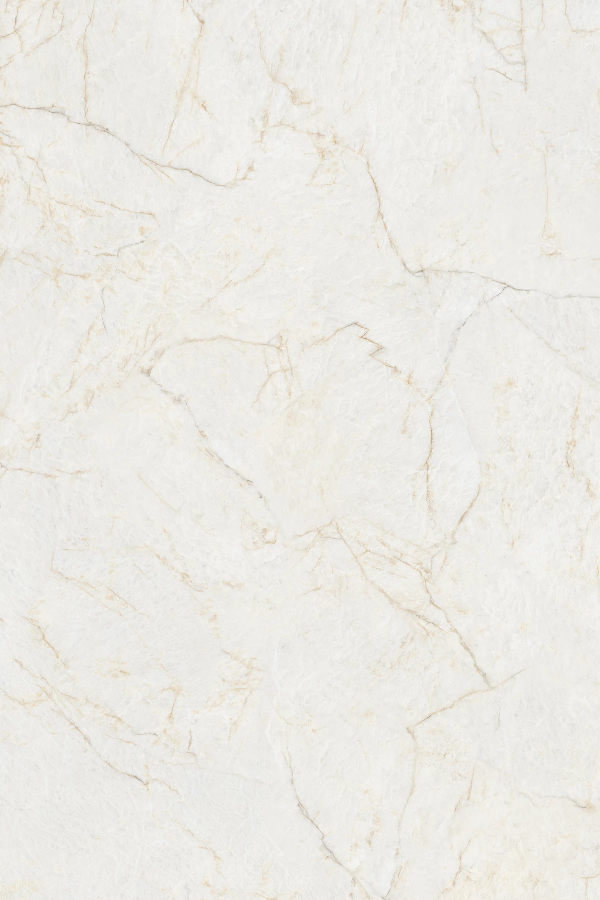 OMASK IVORY_01