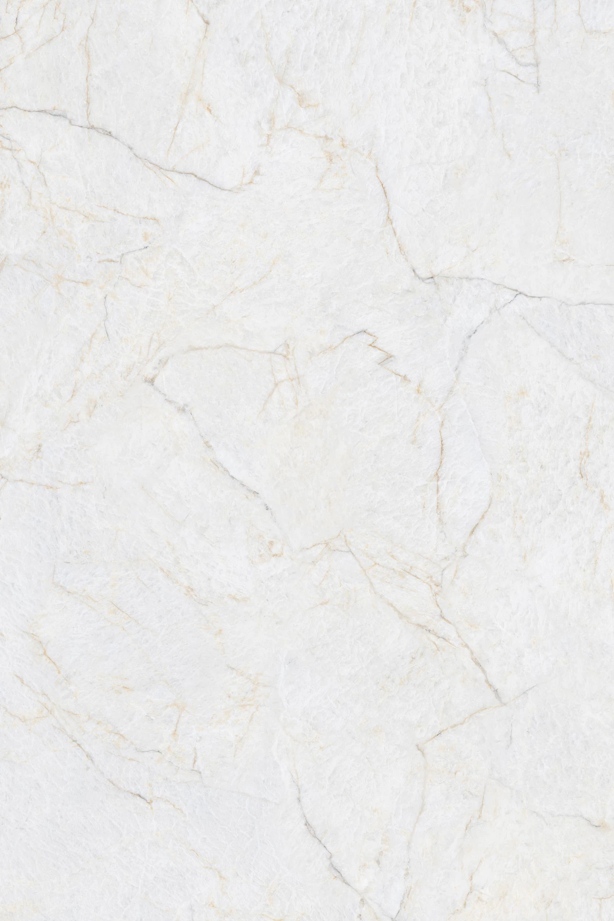 OMASK NATURAL_01