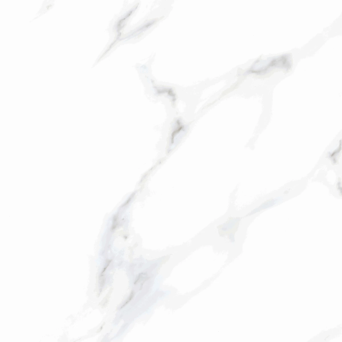 CALCUTTA WHITE P1