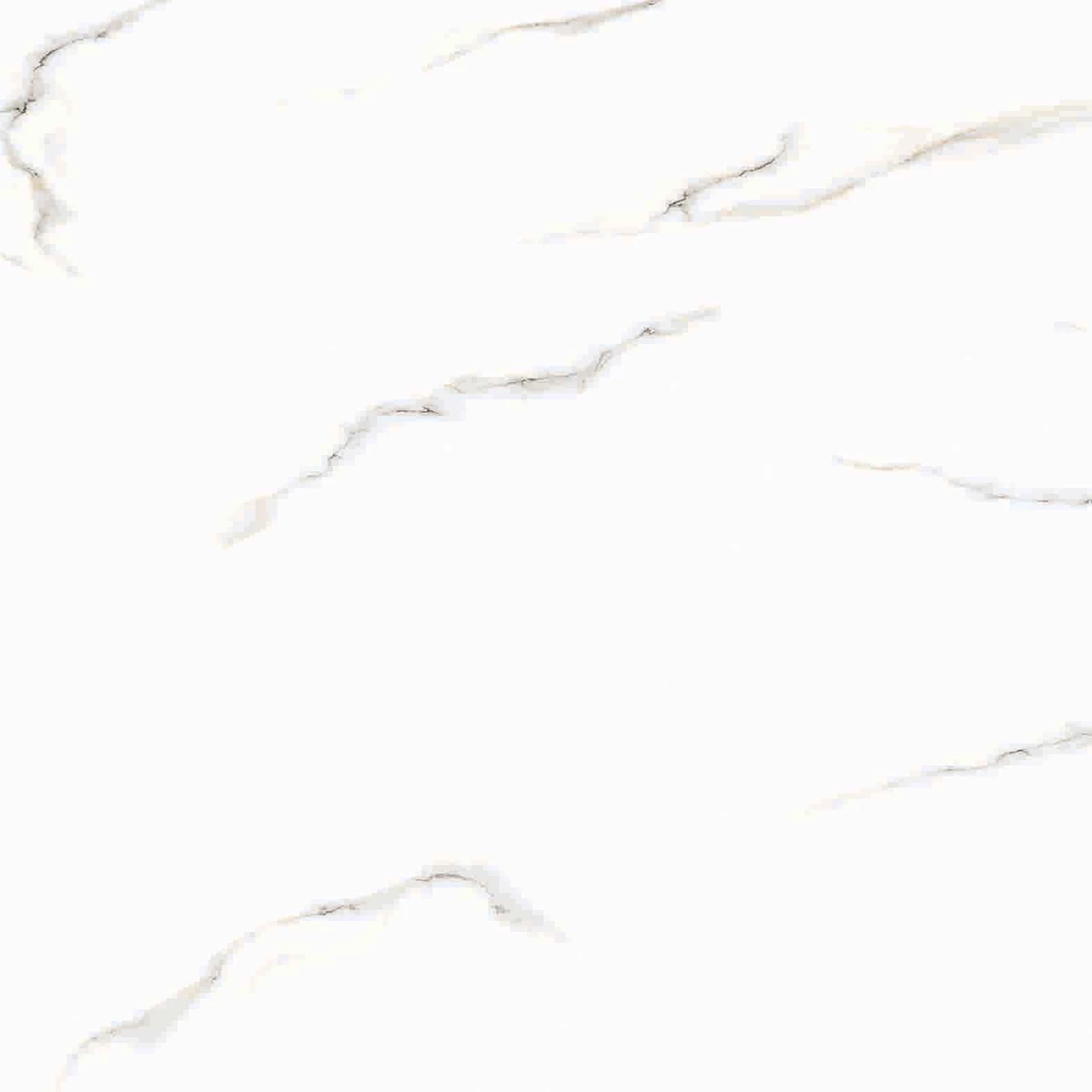 ARCTIC WHITE R1