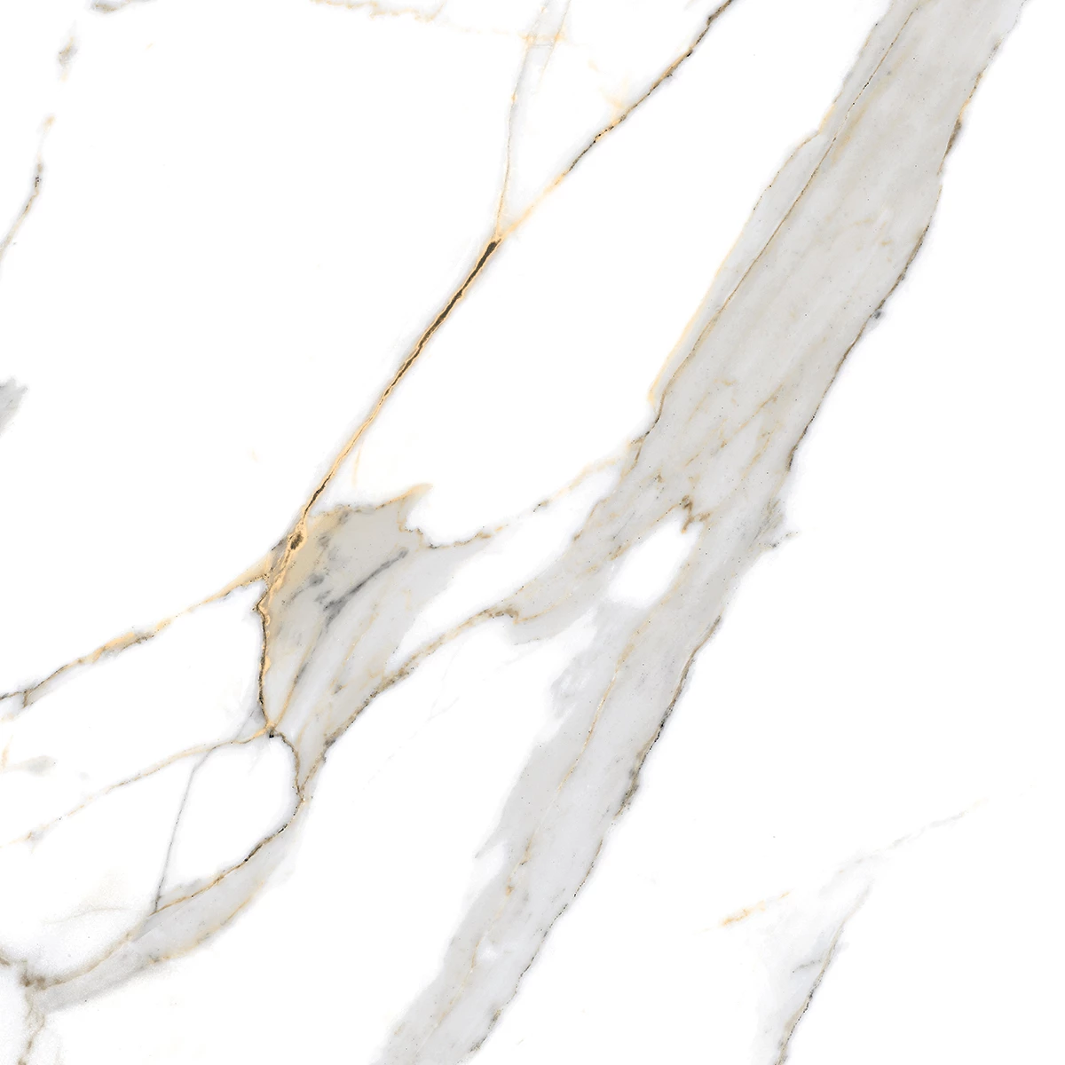 ASTER NATURAL_P1