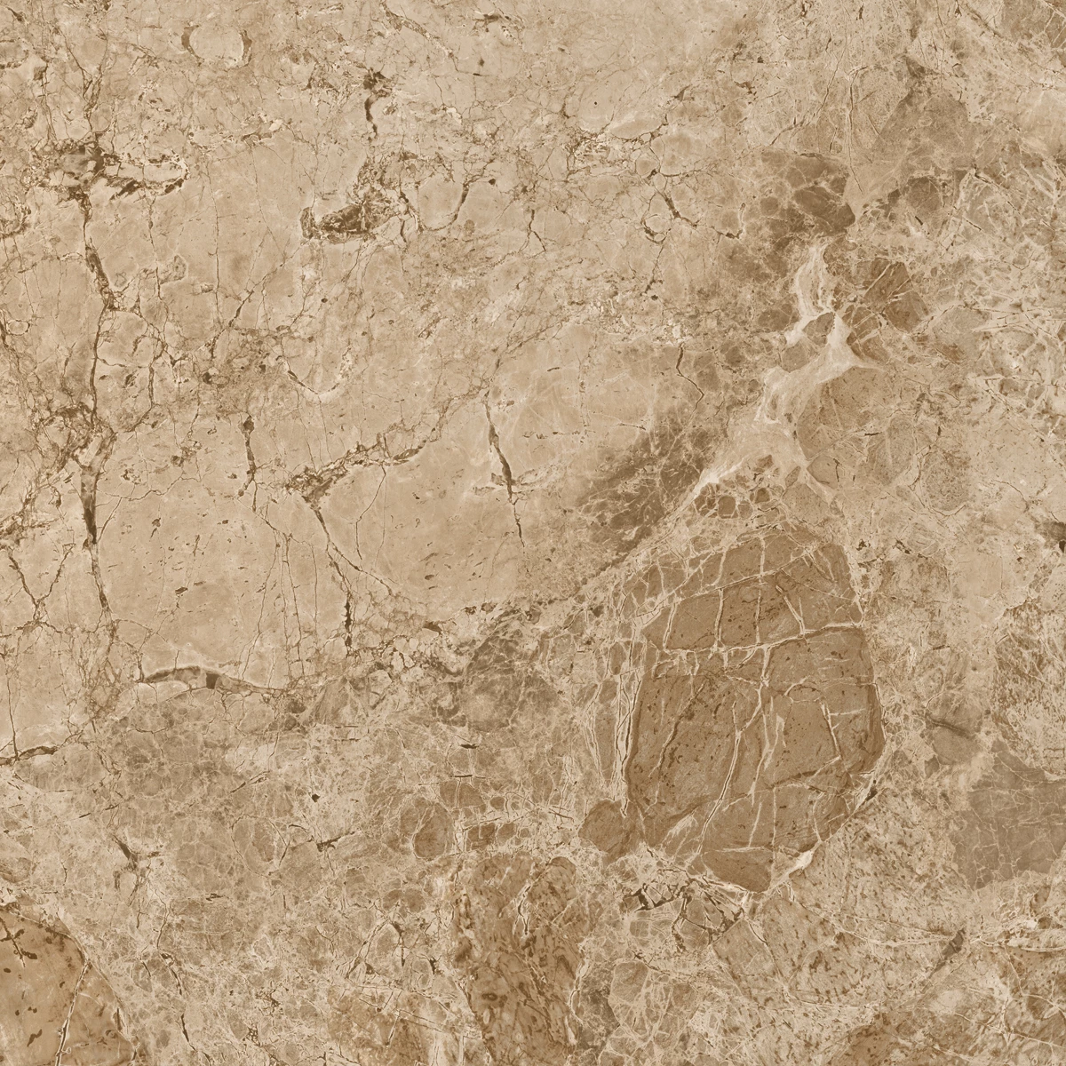 BRECCIA BROWN_P1