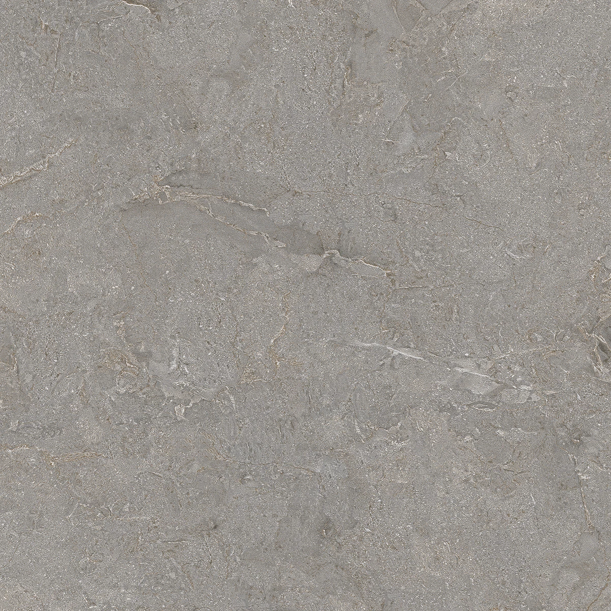 ARIZONA GRIS_P1