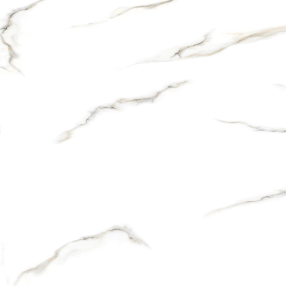 ARCTIC WHITE R1