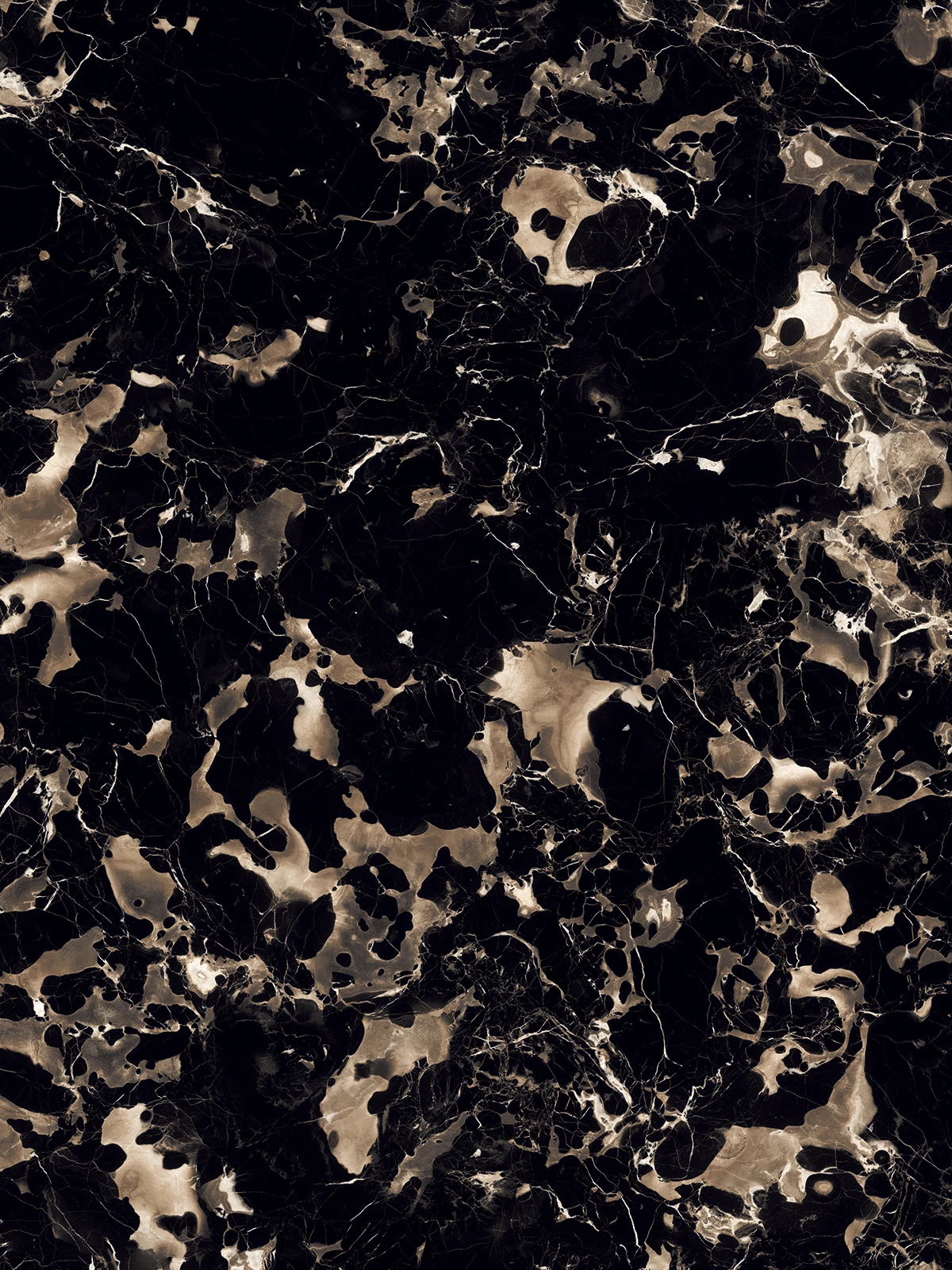 PORTORO BLACK_1